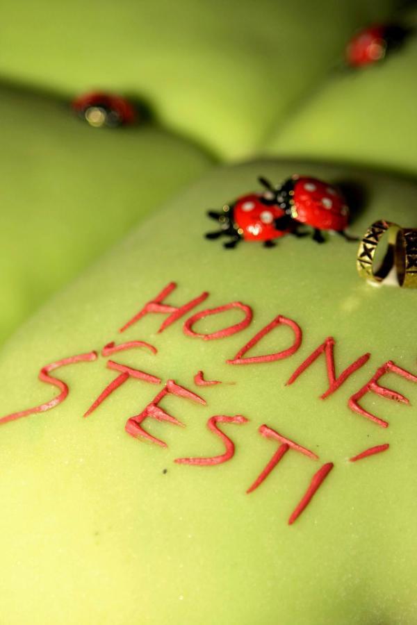 Hotel Ludmila Mělník Zewnętrze zdjęcie